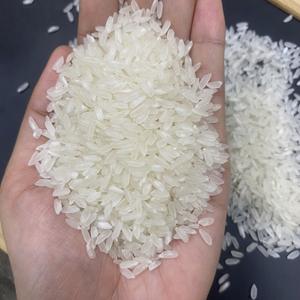 ARROZ CALROSE DE GRANO MEDIANO DE GRAN TAMAÑO / ARROZ CAMOLINO PARA EL MERCADO DEL MEDIO ORIENTE - MARCA OEM Por VILACONIC (Sra. Ellen) - Product Image 2