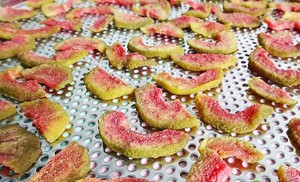 Dried Guava Slices 100% Organic Vacuum Pack 10kg <b>Sour</b> & <b>Sweet</b> Taste Healthy Snack Bulk Wholesale Price 2026 - Product Image 6