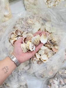 Gourmet Food-Grade Natural Shell Pearl <b>Heart</b> Hoop <b>Earrings</b> White Baking & Serving Dishes Wholesale - Product Image 2