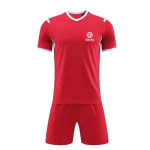 Uniforme de Fútbol para Hombre, Transpirable, de Alta Calidad, Talla Personalizada, 100% Poliéster, Logotipo y Colores Personalizados, Servicio OEM, Venta al Por Mayor - Product Image 1