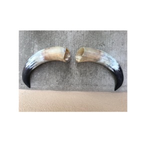 Par de Cuernos de Búfalo Pulidos para Decoración de Pared, Diseño Art Deco, Grandes de 10 a 18 Pulgadas, para Bodas, Cumpleaños, Aniversarios - Product Image 6