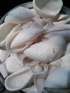 เนื้อมะพร้าวธรรมชาติ – มีไขมันสูง เหมาะสำหรับอุตสาหกรรมอาหารและเครื่องดื่ม // คุณทอม - Product Image 5