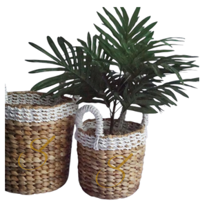 Cesta tejida de jacinto de agua: organizador de juguetes y lavandería - Product Image 1