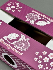 Custom Eco-Friendly Recycled Materials Packaging <b>Box</b> for Fresh Pomelo Fruit | Agricultural Produce Carton Export Wholesale - Product Image 4