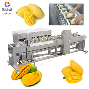 SUS304 Stainless Steel Industrial Mango Stoner Machine Multi-head Automatic Mango De-stoner Core Removing Machine 40 Units/Min - Product Image 1