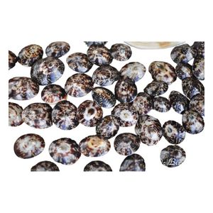 Coquilles de limpets polies de qualité supérieure, écologiques, naturelles, pour l'art moderne et les fournitures de fabrication artisanale de collection - Product Image 1