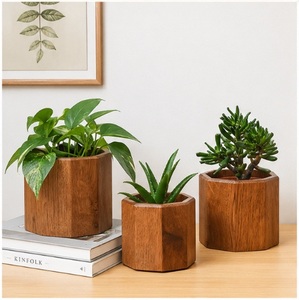 Ensemble de jardinières hexagonales géométriques modernes en bois, écologiques, faites à la main, en bois massif, pour plantes succulentes, décoration de bureau à domicile - Product Image 1