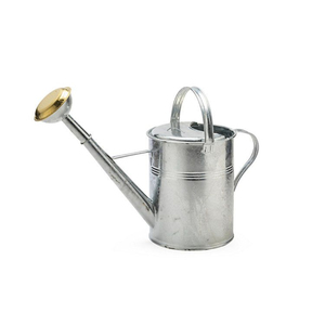 Arrosoir en métal galvanisé style vintage, gris, pour jardin, décoration, pot de fleurs pour la maison et le jardin. - Product Image 4