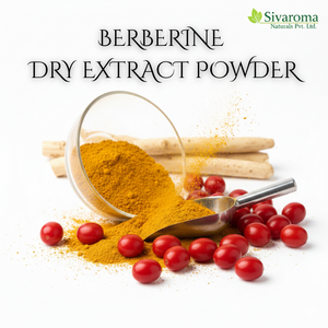 Poudre d'extrait sec de berbérine sauvage de qualité alimentaire, source naturelle, pour mélange d'ingrédients fonctionnels et utilisation dans le traitement commercial - Product Image 4