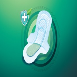 Toallas sanitarias desechables biodegradables, antibacterianas, que equilibran el pH, fabricadas de forma sostenible, disponibles a precio de mayorista, las más vendidas. - Product Image 1