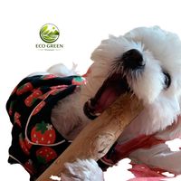 Bâton à mâcher pour chien en bois de café et bambou, écologique, sûr et durable, pour toutes les races, offre en gros OEM