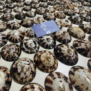 Disponibles Conchas de Limpet Azules Trituradas Ecológicas, Material a Granel para Arte en Resina, Posavasos y Manualidades DIY - Product Image 3