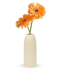 Modern White <b>Ceramic</b> Tabletop <b>Vase</b> Ribbed Decorative Flower Vessel for Living Room Desk Entrance - Product Image 5
