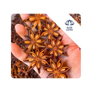 [MEILLEURES VENTES] Anis étoilé sélectionné, idéal pour les formules de base de soupes et de sauces pour hotpot, fabriqué au Vietnam - Product Image 1