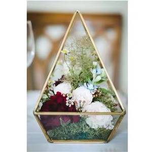 Luxury Glass Box Metal Terrarium Planter Decorative Indoor Plant <b>Display</b> <b>Case</b> Home Interior Decor Accent - Product Image 1