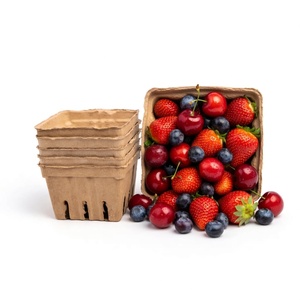 Emballage pour fruits écologique, anti-casse, compostable, plateau en pulpe moulée, plateau pour fruits frais, fabricant vietnamien, boîtes en papier - Product Image 4