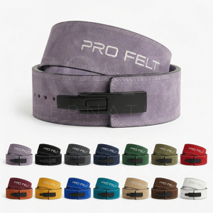 Fitness Equipment Manufacturer Suede Lever Buckle Weightlifting <b>Belt</b> Heavy Duty Training Custom Logo Back Support Gym Lever <b>Belt</b> - Product Image 1