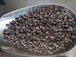 WHOLESALE SINGLE ORIGIN ARABICA <b>COFFEE</b> | VIETNAMESE LIGHT & MEDIUM ROASTED | TOP QUALITY SPECIALTY <b>BEANS</b> - Product Image 2