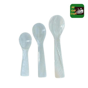 Cuchara de concha marina hecha a mano para platos de mariscos. Cuchara de concha marina ideal para degustación elegante de caviar. - Product Image 5
