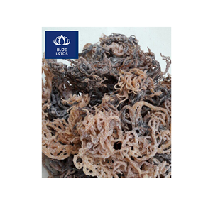 MUSGO DE MAR SECO ECOLOGICO MOST WANTED, Seguro y Limpio, Ideal para Espesar Alimentos y Mezclar Bebidas, Venta Directa - Product Image 1