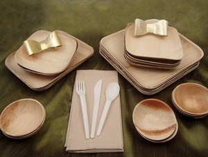 Assiettes Compostables en Feuilles de Palmier 10+7 Pouces – Pack Combo pour Réunions Familiales, Traiteur, Fêtes, Festivals et Événements d'Entreprise - Product Image 1