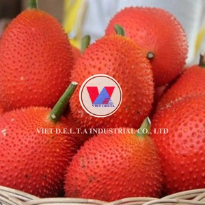 เนื้อผลไม้แช่แข็ง GAC ได้รับการรับรองมาตรฐาน BRC HACCP ขายส่งจากเวียดนาม - Product Image 4