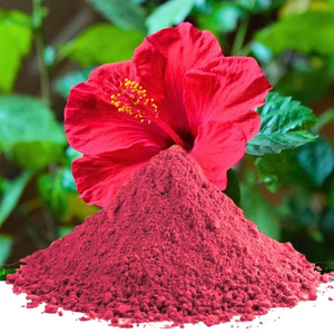 Poudre de fleur d'hibiscus de qualité supérieure, 100% pure, poudre d'hibiscus à base de plantes pour renforcer les cheveux, leur brillance, soigner le cuir chevelu et nourrir la peau - Product Image 6