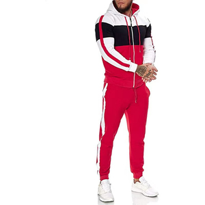 Conjunto de Sudadera con Capucha y Pantalones de Chándal de Algodón con Forro Polar para Hombre, Estampado Sólido, Estilo Urbano, Invierno, Cremallera Completa, Ropa Deportiva Casual Personalizada al por Mayor - Product Image 2