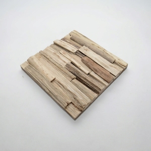 Mini panneau mural suspendu en bois flotté naturel, plateforme d'escalade pour reptiles, oiseaux, petits animaux, jouet pour animaux de compagnie, accessoires de décoration - Product Image 1