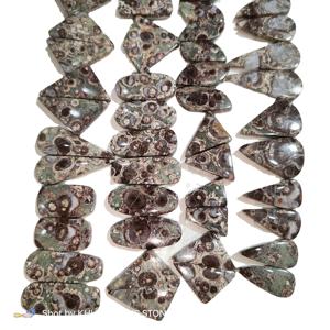 Agate de Turritella naturelle fossile en vrac pour boucles d'oreilles - Mélange de formes semi-précieuses 10-25mm 3-5g Apprécié par un tiers Khushi - Product Image 3