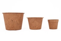 Pot Bunga Modern dari Sabut Kelapa Ramah Lingkungan Biodegradable Ringan untuk Penggunaan Dalam dan Luar Ruangan dengan Tanaman Hijau Tamil Nadu