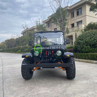 Mini jeep électrique pas cher à 2 places, 4 roues, 125cc, 150cc, 200cc, 250cc, essence, ATV, voiture adulte, jeep, moteur à essence, jeep à grande vitesse