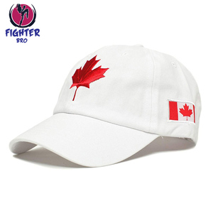 Gorra de Béisbol en Oferta, Logotipo Bordado en Algodón, Correa Ajustable, Estilo Hip Hop, Gorra Deportiva, Fabricación OEM, Talla Personalizada Profesional - Product Image 4