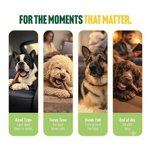 Compléments Masticables OEM pour Soins Reproductifs Canins : Nutrition pour l'Élevage et Soutien à la Fertilité – Suppléments Souples en Gros et Marque Privée - Product Image 4