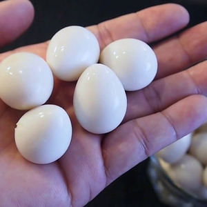 OFFRE SPÉCIALE : Œufs de caille en conserve dans la saumure - Œufs de caille bouillis en conserve - Œufs de caille pelés en conserve du Vietnam - Mme Alina - Product Image 1