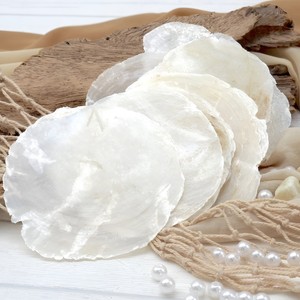 Discos planos de concha de capiz de Vietnam, venta al por mayor de fábrica, conchas marinas naturales, discos redondos de conchas marinas - Product Image 4