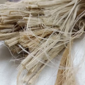 Fibres et cordes de jute haute résistance – Matériaux en fibres naturelles pour l'agriculture, l'emballage et la production de cordes - Product Image 6
