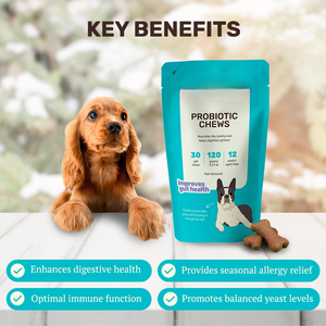 Friandises à mâcher probiotiques OEM pour chiens et chats – Soutien sûr pour la santé digestive, soulage la diarrhée, favorise la santé intestinale – Complément alimentaire pour animaux de compagnie – Vente en gros - Product Image 2
