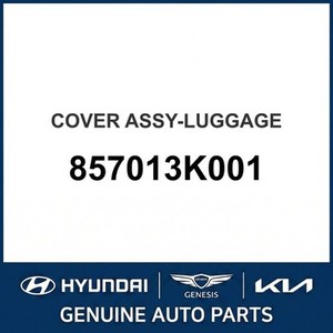 Repuestos y Accesorios para Autos y Camiones Sonata Nuevos 857013K001 - Product Image 1