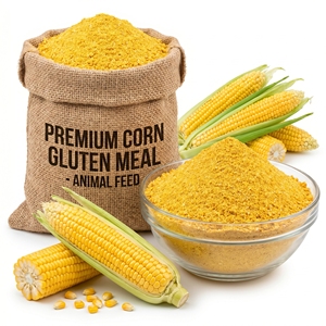 Premium Corn Gluten Meal Feed Grade High Protein Animal Feed Poultry Livestock Cattle Wholesale Bulk Supply Export Supplier - Product Image 1