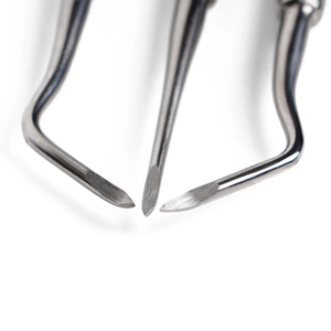 Elevador de Extracción Dental Oral Más Demandado con Punta Personalizada, Instrumentos Quirúrgicos Dentales Aprobados por CE - Product Image 6