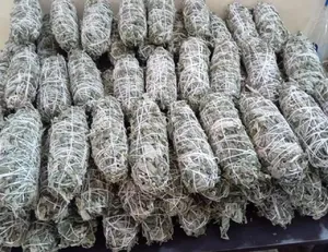 ชุดสมุนไพรอินเดียนไวท์เสจสำหรับรมควัน ขนาด 4 นิ้ว ชื่อทางพฤกษศาสตร์ Salvia Officinalis L สมุนไพรดาลเมเชียนเสจ ใบกว้าง สำหรับการใช้งานทางจิตวิญญาณ - Product Image 3