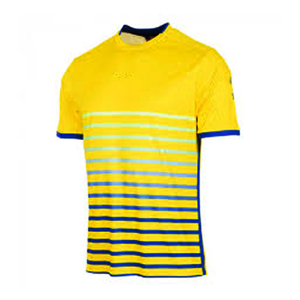 เสื้อยืดคอกลมแขนสั้นลายทางสีเหลืองน้ำเงินสำหรับผู้ชาย ทรงปกติ สไตล์ลำลอง พิมพ์ลายแบบซับลิเมชั่น ผ้าโพลีเอสเตอร์ 100% แห้งเร็ว - Product Image 1