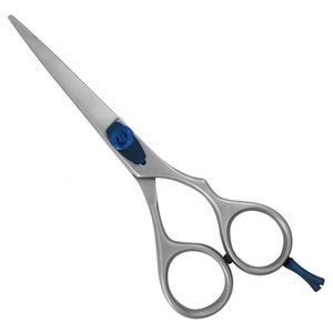 Ciseaux de coiffure professionnels pour salon, en acier inoxydable, outil de coupe de cheveux pour salon de coiffure - Product Image 1