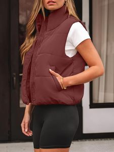 Gilet matelassé léger et isolant pour femme, fabricant OEM, logo personnalisé, veste sans manches matelassée pour femme, vente en gros - Product Image 3