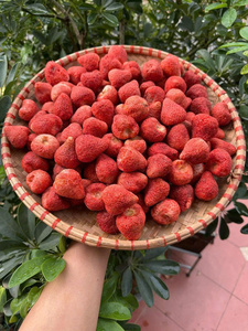 <b>Red</b> Slice Freeze Dried Strawberry Fruit <b>Material</b> From Vietnam For Cooking Ingredient Snack Use Dessert Making Bulk - Product Image 5