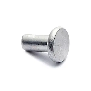 Pregos de alumínio de 2 polegadas com cabeça redonda brilhante para unhas, rebites de unhas comuns