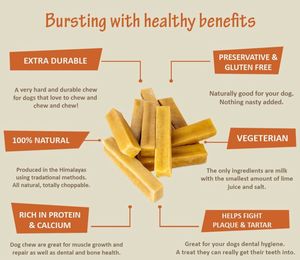 OEM Himalayan Yak Milk Cheese Dog Chew Natural Long Lasting Hard Cheese Dog Treat Healthy Pet Snack Bulk Supplier Export Quality - Product Image 5