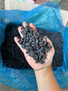 Pasas Premium Listas Para Comer, Snack Para Venta Minorista y Mayorista - Product Image 3