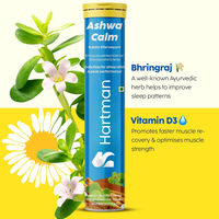 Capsules effervescentes d'Ashwagandha, complément brûle-graisses pour adultes, comprimés minceur au cidre de pomme, poudre, non destiné aux femmes enceintes